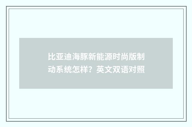 比亚迪海豚新能源时尚版制动系统怎样？英文双语对照