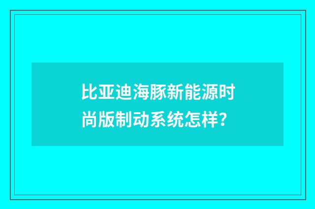 比亚迪海豚新能源时尚版制动系统怎样？