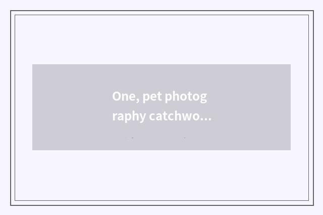 One, pet photography catchword?