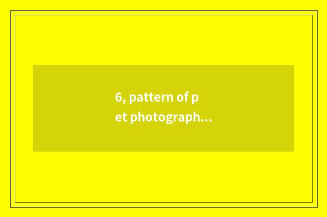 6, pattern of pet photography profit?