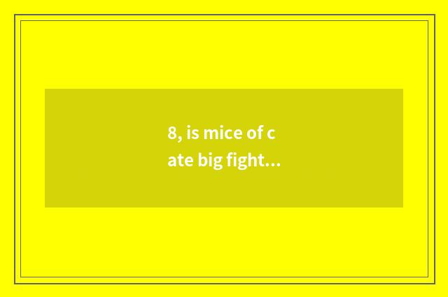 8, is mice of cate big fight made?
