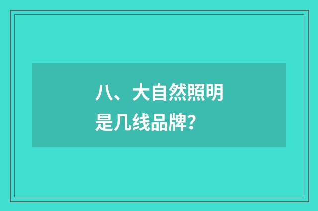 八、大自然照明是几线品牌？