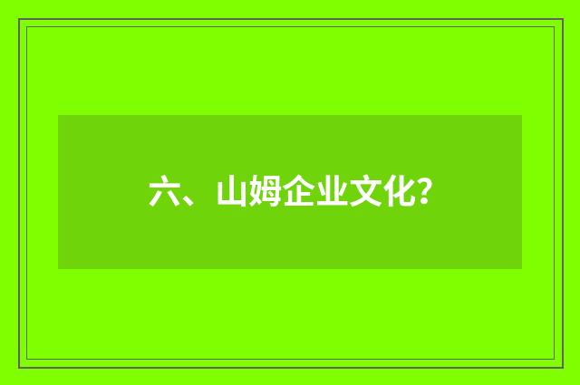 六、山姆企业文化？