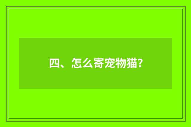 四、怎么寄宠物猫？