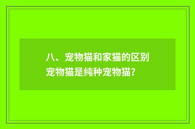八、宠物猫和家猫的区别宠物猫是纯种宠物猫?