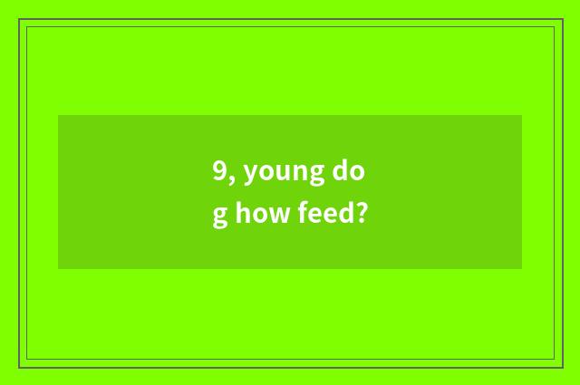 9, young dog how feed?