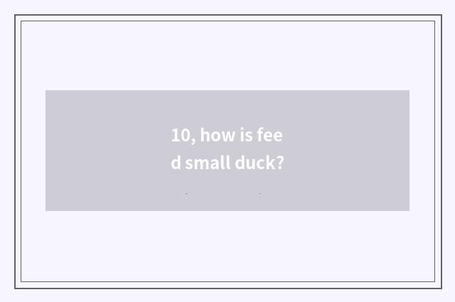 10, how is feed small duck?