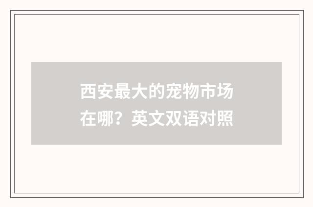 西安最大的宠物市场在哪？英文双语对照