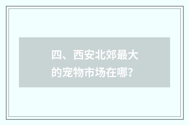 四、西安北郊最大的宠物市场在哪?