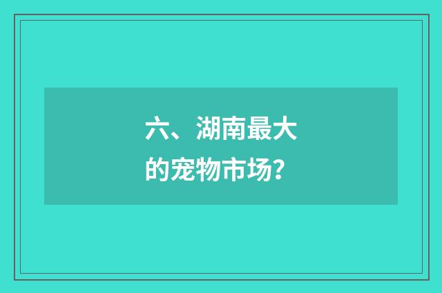 六、湖南最大的宠物市场？