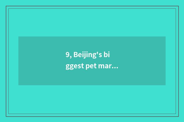 9, Beijing's biggest pet market?