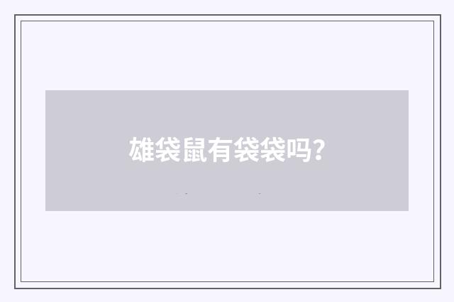 雄袋鼠有袋袋吗？