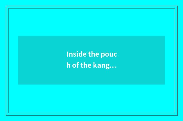 Inside the pouch of the kangaroo dirty?