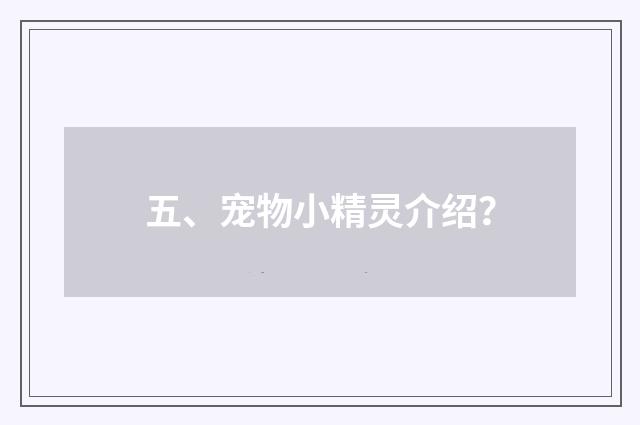 五、宠物小精灵介绍?