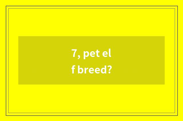 7, pet elf breed?