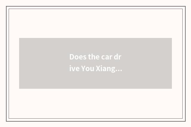 Does the car drive You Xiang careful strategy oneself?
