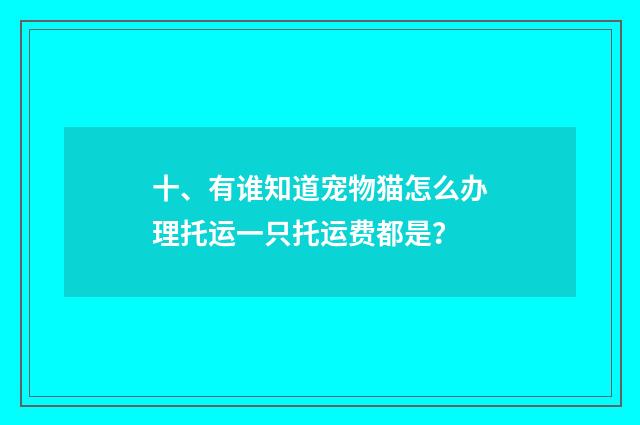 十、有谁知道宠物猫怎么办理托运一只托运费都是？