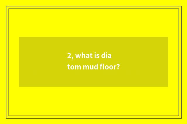 2, what is diatom mud floor?