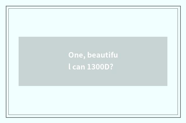 One, beautiful can 1300D?