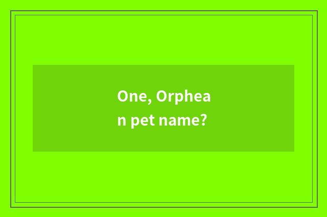 One, Orphean pet name?