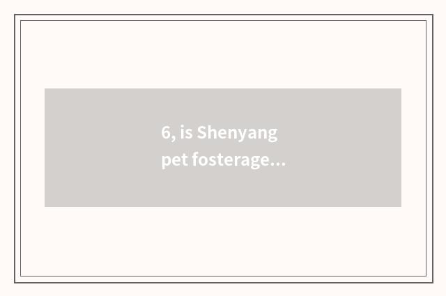 6, is Shenyang pet fosterage in? The pet ask sb to bring up one's child that nor