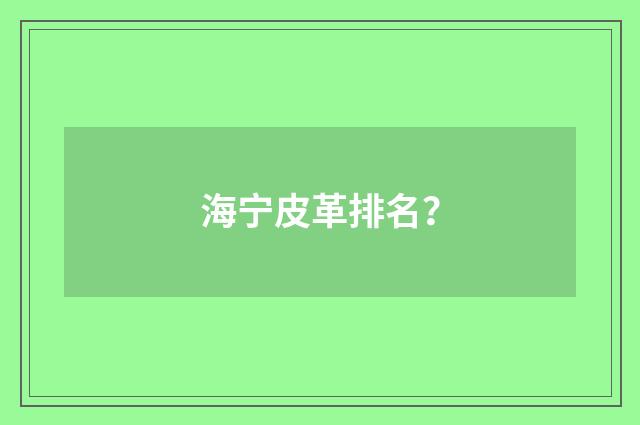 海宁皮革排名？