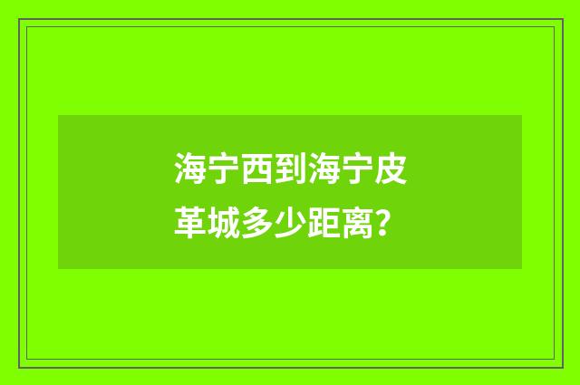 海宁西到海宁皮革城多少距离?