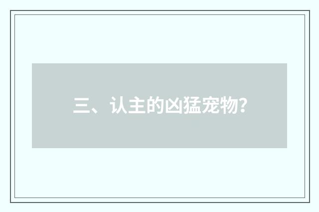 三、认主的凶猛宠物?