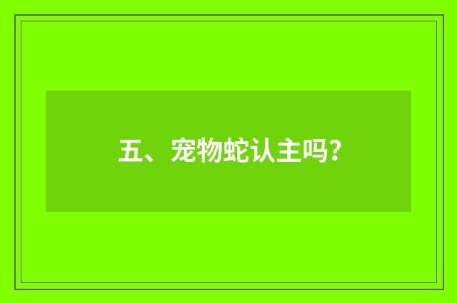 五、宠物蛇认主吗?