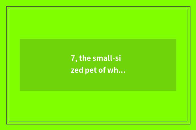 7, the small-sized pet of what type can identify host?