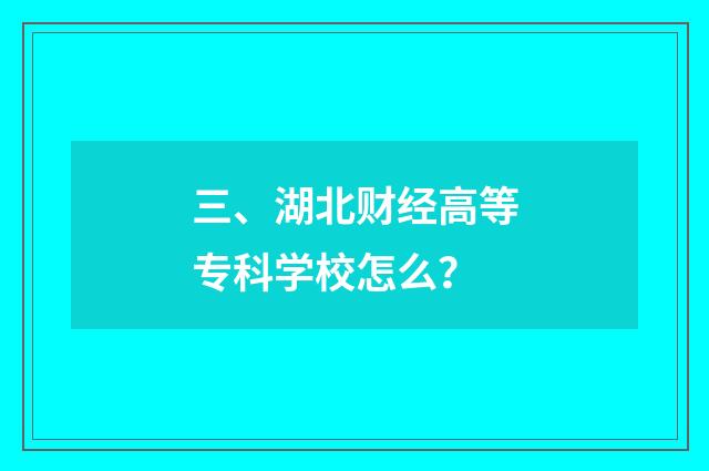 三、湖北财经高等专科学校怎么？