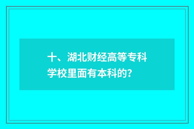 十、湖北财经高等专科学校里面有本科的?
