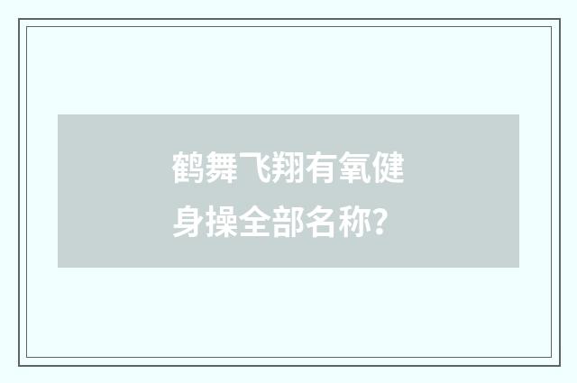 鹤舞飞翔有氧健身操全部名称?