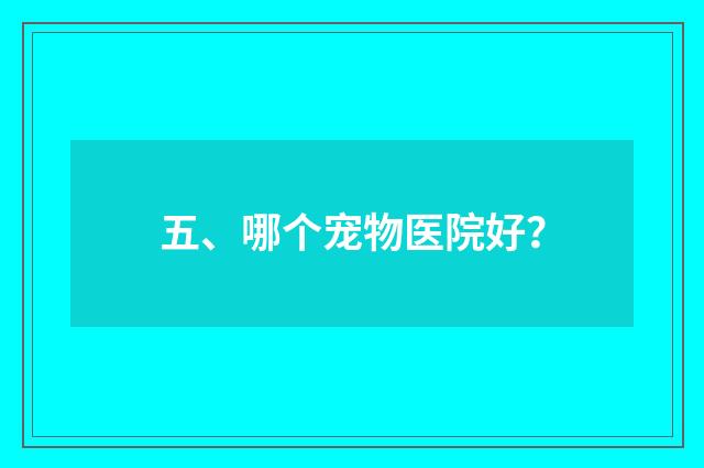 五、哪个宠物医院好？