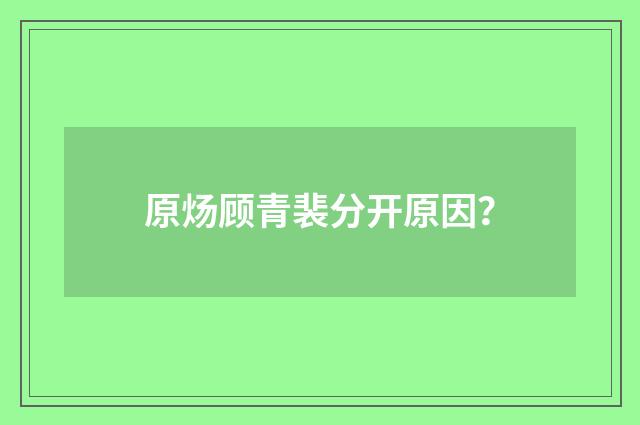 原炀顾青裴分开原因？