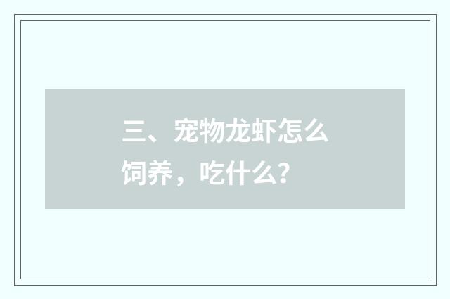 三、宠物龙虾怎么饲养，吃什么？