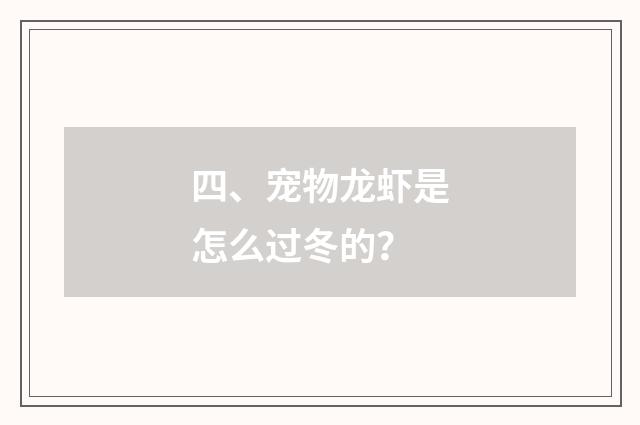 四、宠物龙虾是怎么过冬的？