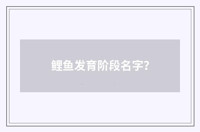 鲤鱼发育阶段名字?