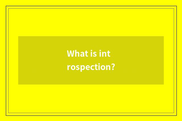 What is introspection?