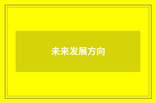 未来发展方向