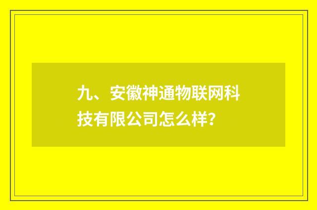 九、安徽神通物联网科技有限公司怎么样?