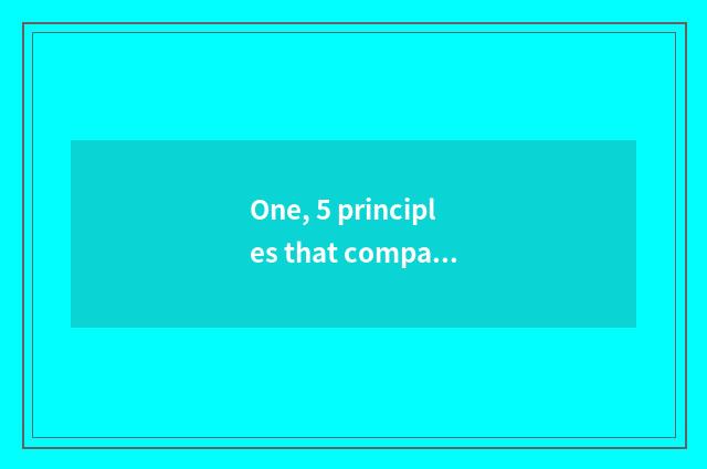 One, 5 principles that company culture builds and case?