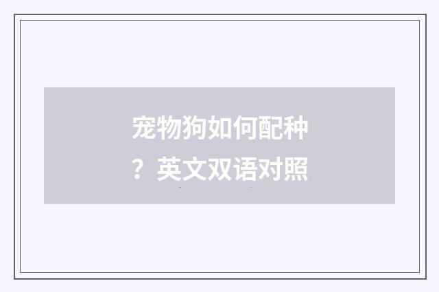 宠物狗如何配种？英文双语对照