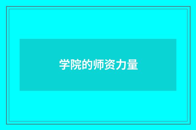 学院的师资力量