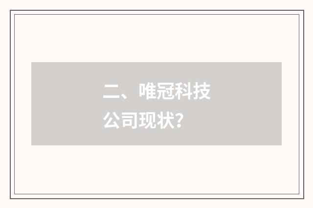 二、唯冠科技公司现状？