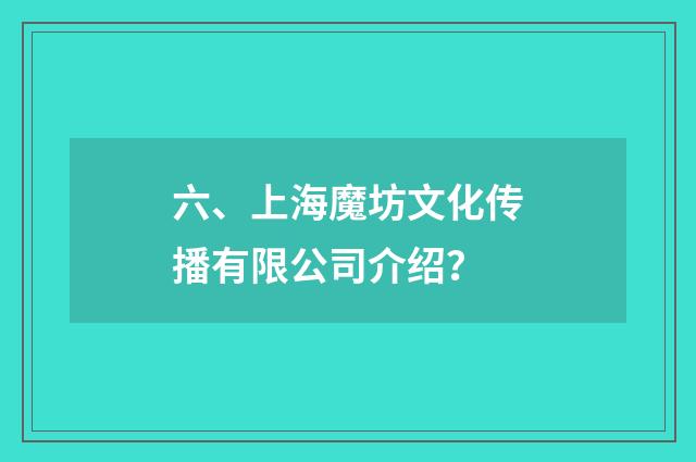 六、上海魔坊文化传播有限公司介绍？
