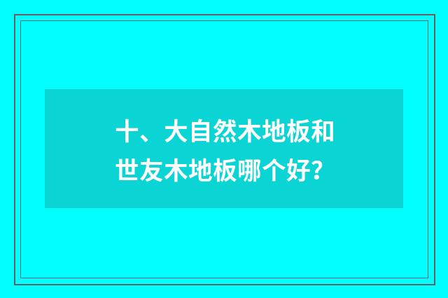 十、大自然木地板和世友木地板哪个好？