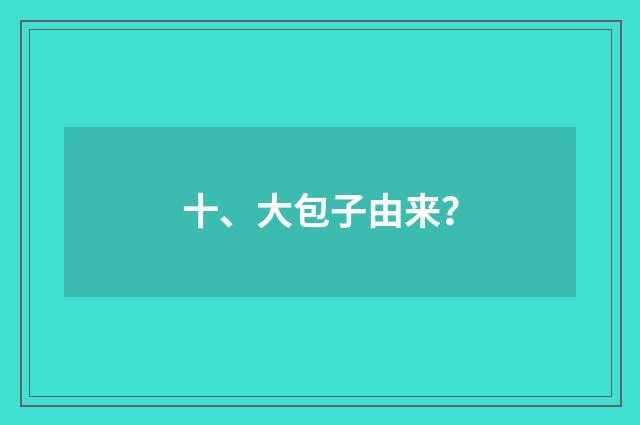 十、大包子由来？