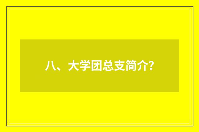 八、大学团总支简介？