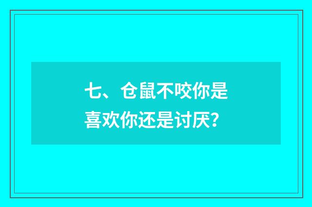 七、仓鼠不咬你是喜欢你还是讨厌?